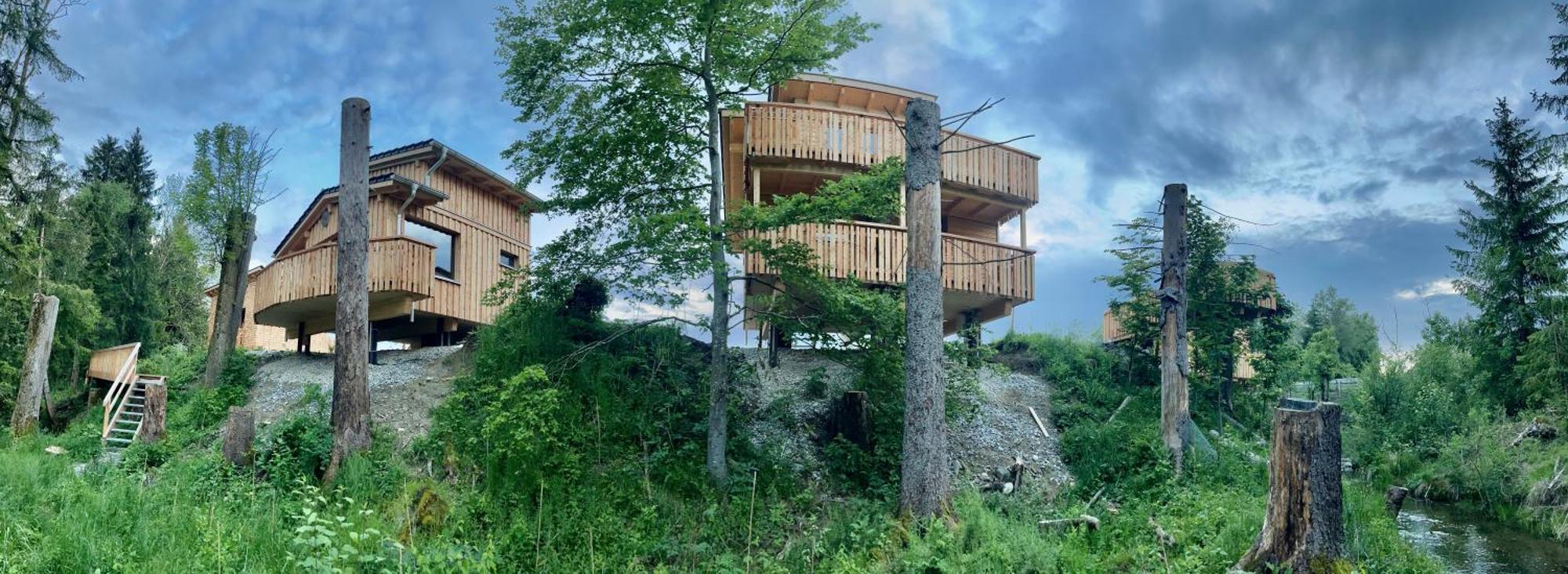 מלון ברנבורן Wald Ist Zukunft מראה חיצוני תמונה
