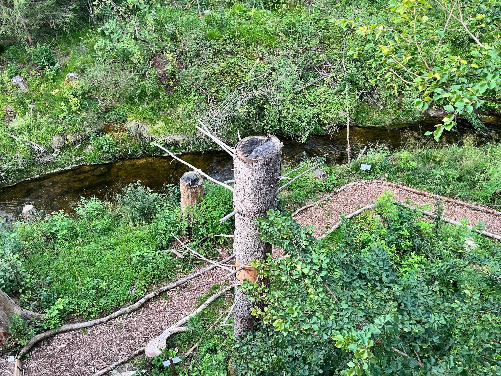 מלון ברנבורן Wald Ist Zukunft מראה חיצוני תמונה