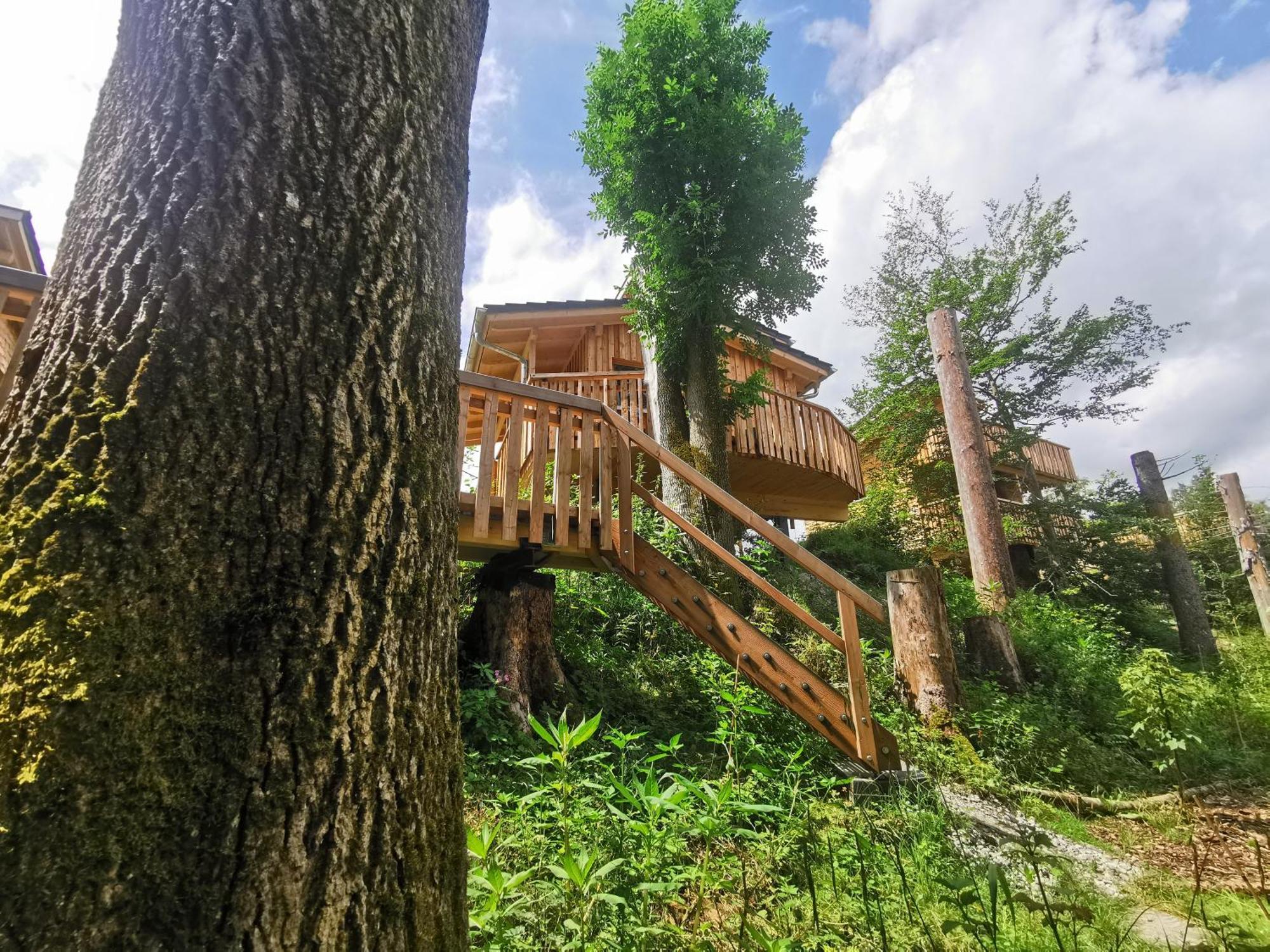 מלון ברנבורן Wald Ist Zukunft מראה חיצוני תמונה