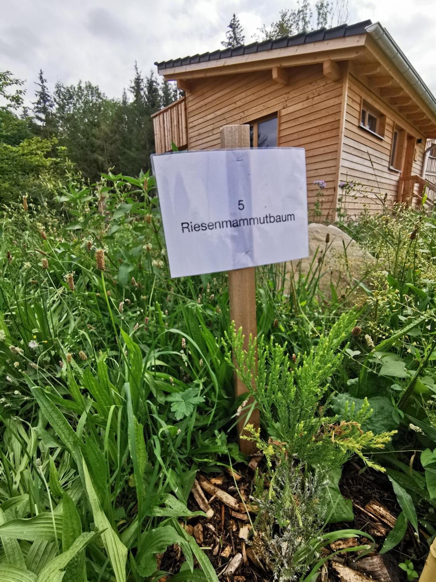 מלון ברנבורן Wald Ist Zukunft מראה חיצוני תמונה