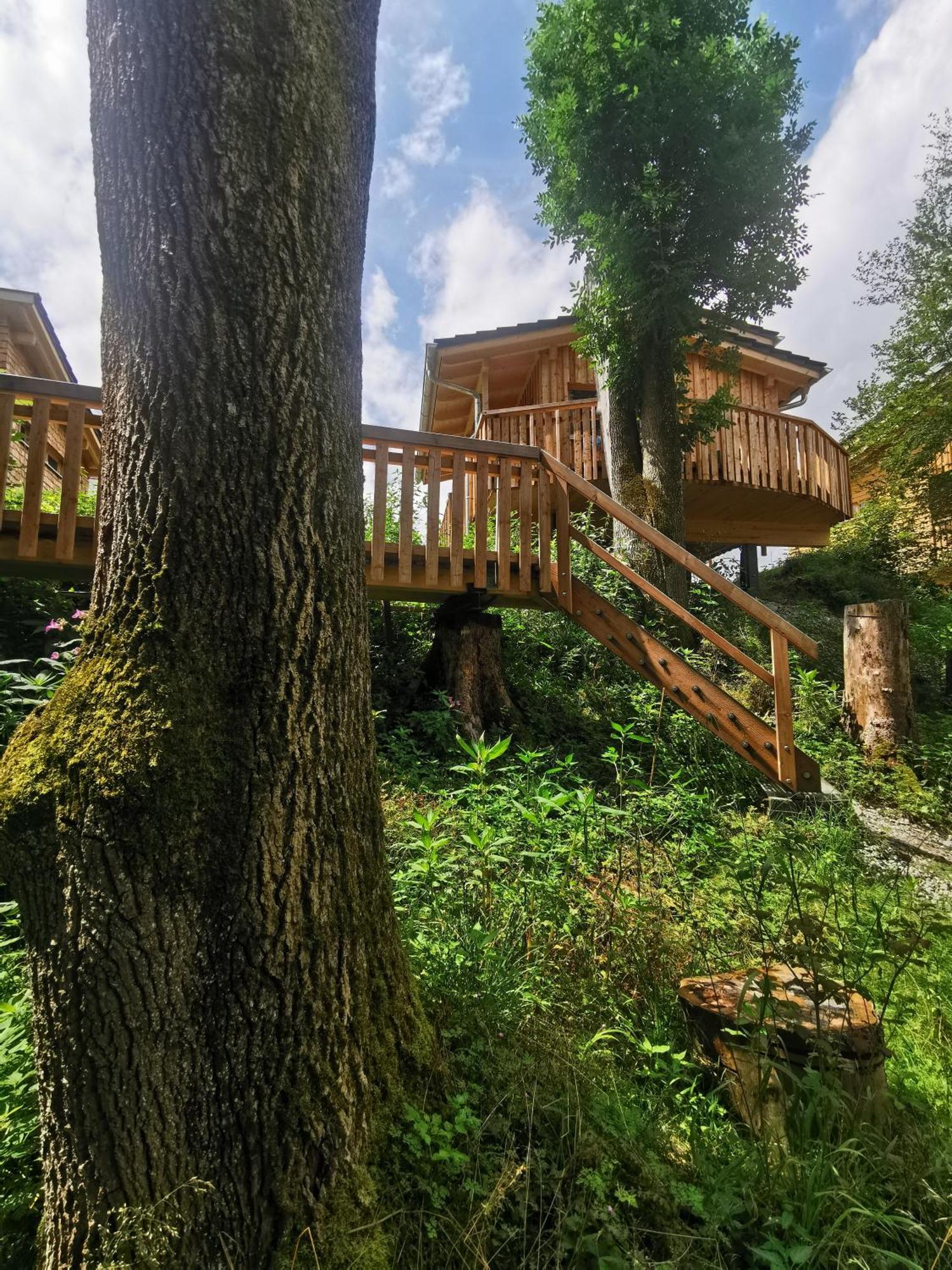 מלון ברנבורן Wald Ist Zukunft מראה חיצוני תמונה